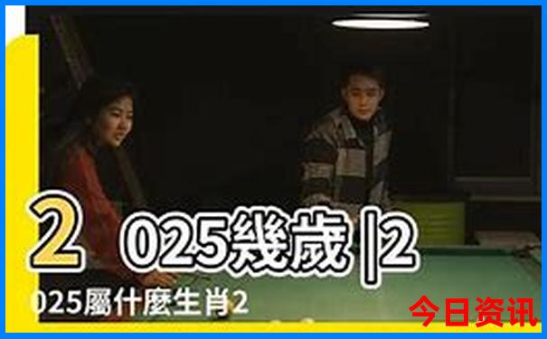 2025全新资料精准全新攻略资料全新正版大值得关注全免费-2025正版资料免费大全资料